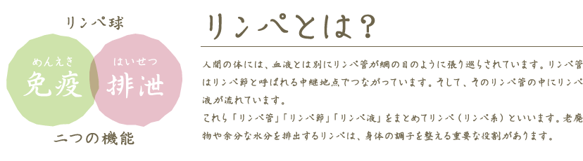 リンパとは?